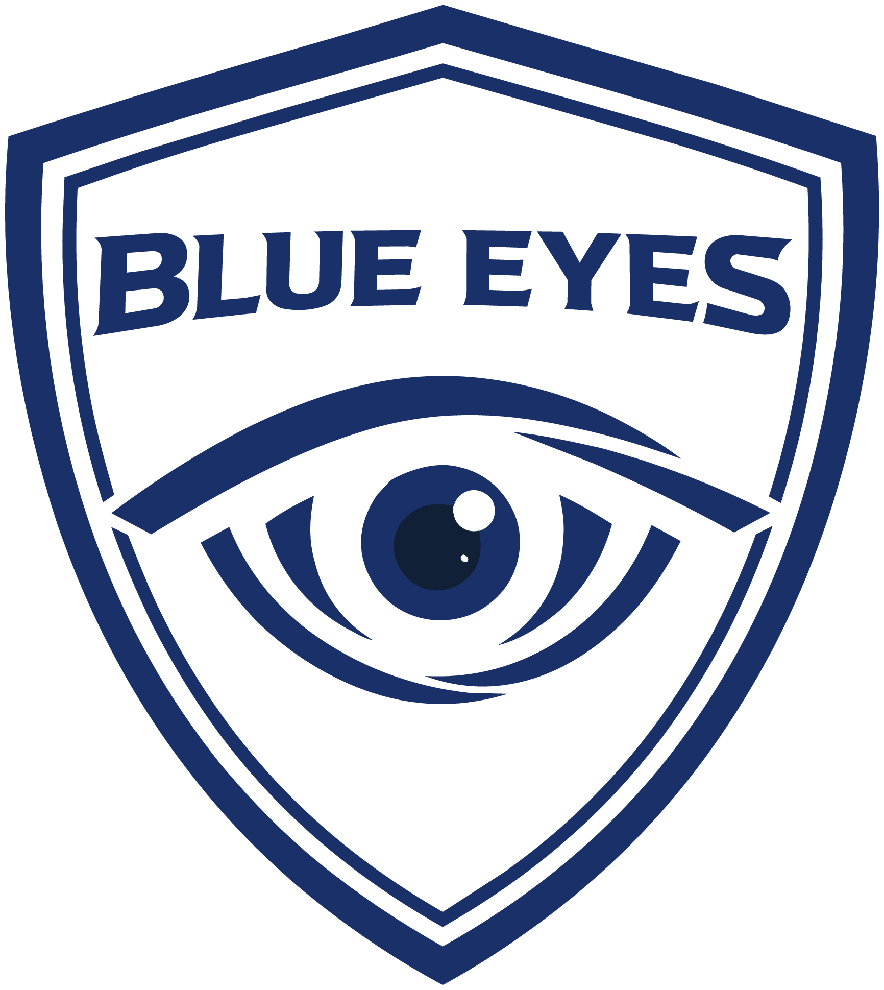 Blue Eyes Security Logo